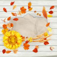 Colorful leaves background EPS 10 N8