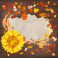 Colorful leaves background EPS 10 N9