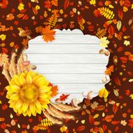 Colorful leaves background EPS 10 N15