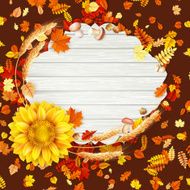 Colorful leaves background EPS 10 N16