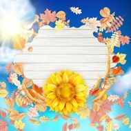 Colorful leaves background EPS 10 N18