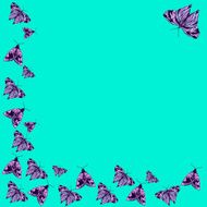 openwork frame of butterflies