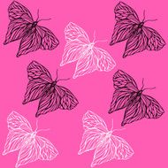 Pattern of butterflies N2
