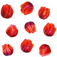 Seamless white pattern with red tulips