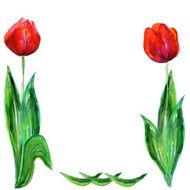 Romance card with red tulips and copy space N2
