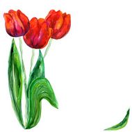 Romance card with red tulips and copy space N3