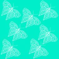 Pattern of butterflies N6