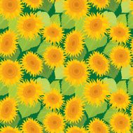 Seamless pattern with sunflowers Summer season nature background
