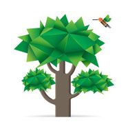 Tree with bird