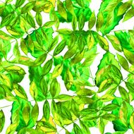 Seamless watercolor green leaves pattern with white background N2