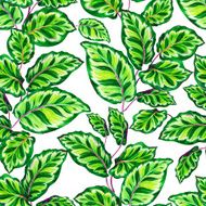 Tropical leaves pattern N4