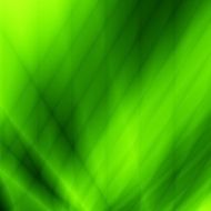 green leaf nature eco website backdrop