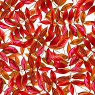 Seamless watercolor red leaves pattern with white background N3