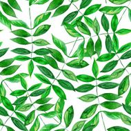Seamless watercolor green leaves pattern with white background N4