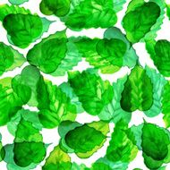 Seamless watercolor green leaves pattern with white background N5