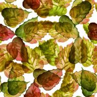 Seamless watercolor brown leaves pattern with white background N2