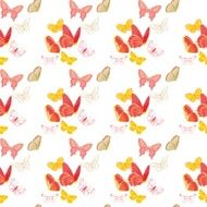 Nature insect pattern butterflies