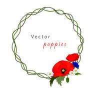 Vector white background with chamomile cornflowers and poppies N2