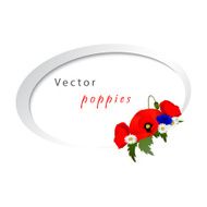 Vector white background with chamomile cornflowers and poppies N3