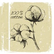 Hand drawn cotton brunch