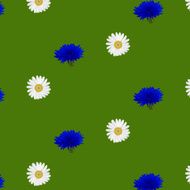 Seamless pattern with flowers chamomile cornflowers