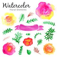 watercolor vector floral set N3