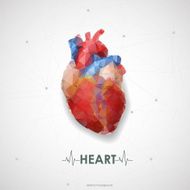 Abstract colored polygonal triangular human heart Vector illust