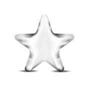 silver metal star vector icon symbol