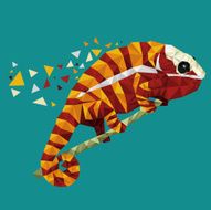 Chameleon geometry art