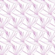 Vector Birds of Paradise Flowers Seamless Pattern