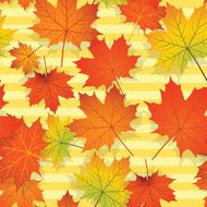 Seamless pattern with colorful maple leaves N2
