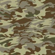 Military camouflage background