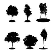 Set of Tree Silhouette Isolated on White Backgorund