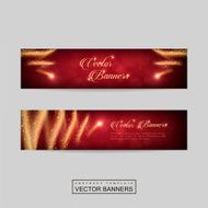 gorgeous banner template design