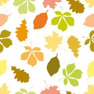 Ornament from leaves N2