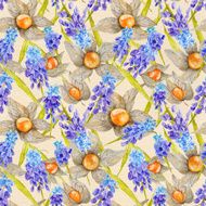 Provence Watercolor Texture with Muskari and Physalis