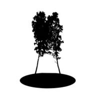 Tree Silhouette Isolated on White Backgorund Vector Illustration N4