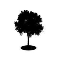 Tree Silhouette Isolated on White Backgorund Vector Illustration N5
