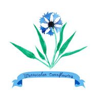 Card with cornflowers N2