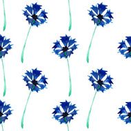 Seamless pattern with cornflowers N6