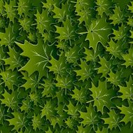 Seamless leaves pattern N8