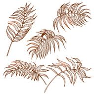 Palm leaves set