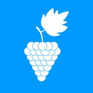 Grapes Icon N6