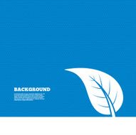 Leaf sign icon Fresh product symbol N2