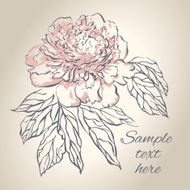 Hand drawing peony flower Vector illustration