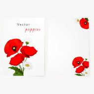 Template card with chamomile and red flowers poppies