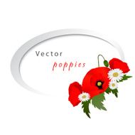 Vector white background with chamomile and poppies