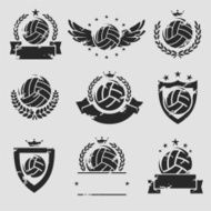 Volleyball labels and icons set Vector N2