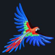 Macaw parrot