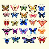 watercolor butterflies set N2